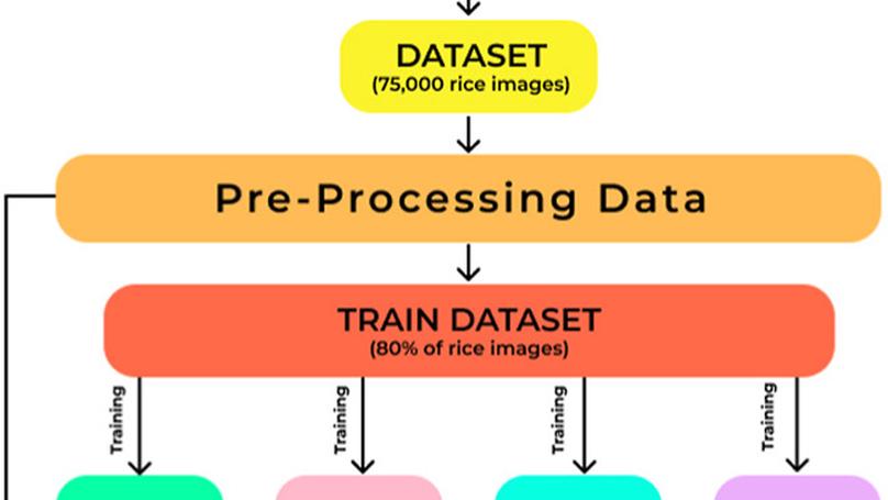 A comparative study of state-of-the-art deep learning architectures for rice grain classification