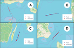 Short and Long Term Vessel Movement Prediction for Maritime Traffic